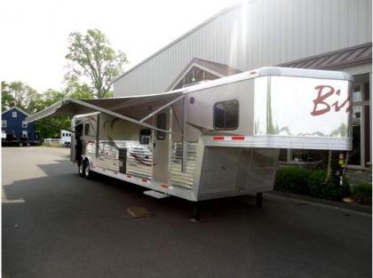 2012 BISON STRATUS 4